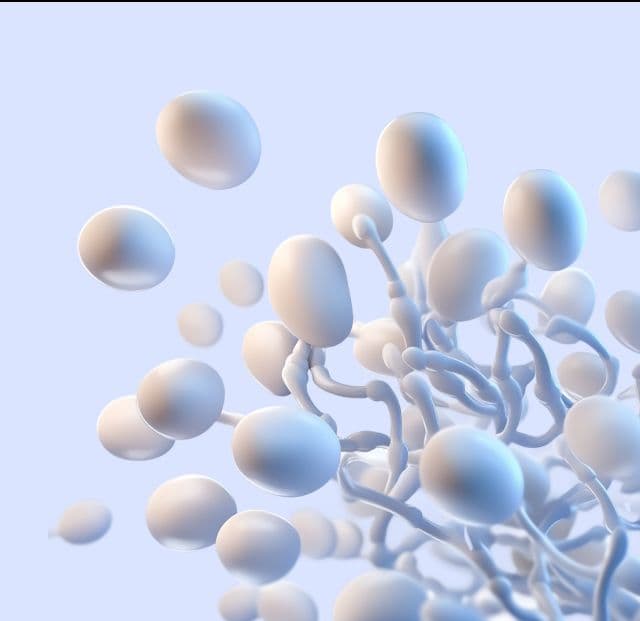 Донорство спермы — что важно знать?